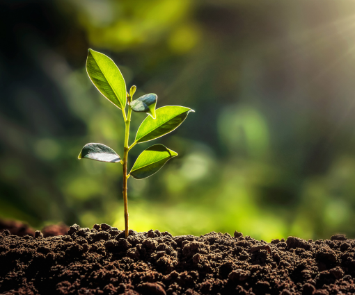 'Nachhaltigkeit' Special