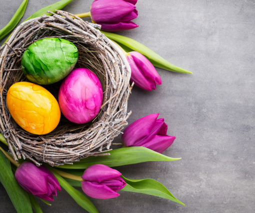 Der große Ostercountdown – Gewinnspielspaß zu Ostern! Der große Ostercountdown – Gewinnspielspaß zu Ostern! Teaser Bild